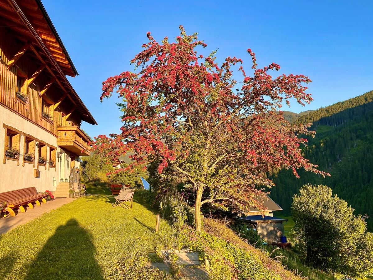 Alm Seasons Premium Chalet & Studios Saalbach-Hinterglemm Bagian luar foto